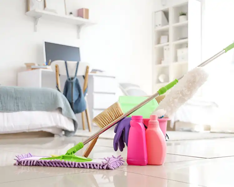 Net Op Entreprise De Nettoyage Lille Nettoyage De Airbnb 1 Net Op Entreprise De Nettoyage Lille Nettoyage De Airbnb 1