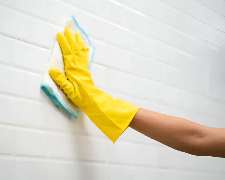 Net Op Entreprise De Nettoyage Lille Nettoyage De Domicile 1 Net Op Entreprise De Nettoyage Lille Nettoyage De Domicile 1