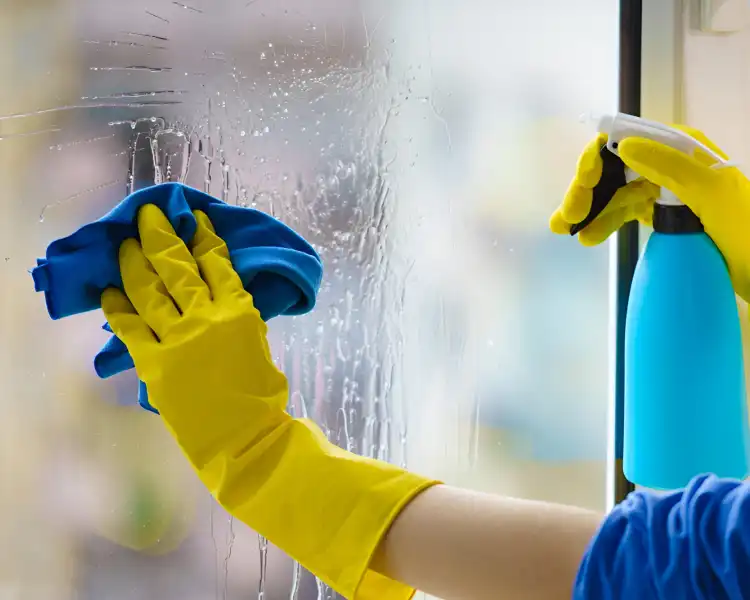 Net Op Entreprise De Nettoyage Lille Nettoyage De Vitres 1 Net Op Entreprise De Nettoyage Lille Nettoyage De Vitres 1